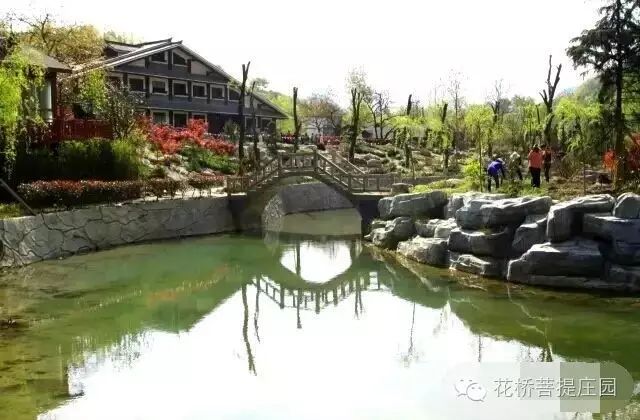 這個(gè)周末，隴南康縣花橋有大事要發(fā)生？