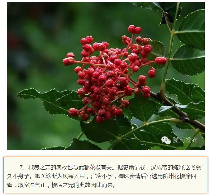 蘭渝鐵路最早由孫中山先生提出？在隴南，你不知道的事兒還有……