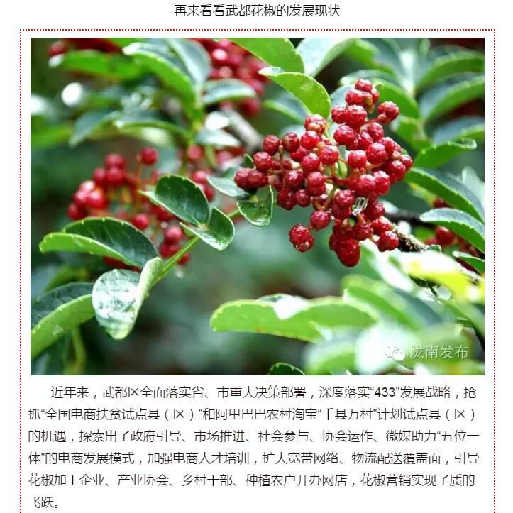 5.28億！一場盛會，武都花椒“火”了