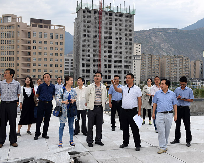 省、市聯(lián)合工作組蒞臨階州廣場檢查指導(dǎo)工作