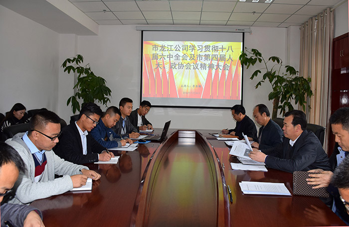 市龍江公司召開全體員工大會，專題傳達(dá)學(xué)習(xí)上級會議精神